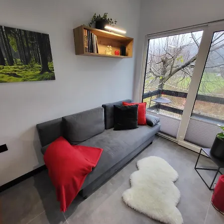 펜션 Black & White Niedzica